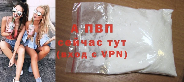 PSILOCYBIN Навашино