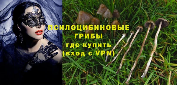 PSILOCYBIN Навашино