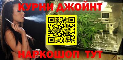 2c-b Кингисепп