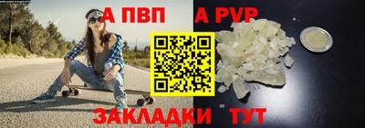 2c-b Кингисепп