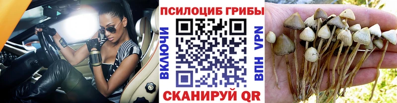 Галлюциногенные грибы Cubensis  Набережные Челны 