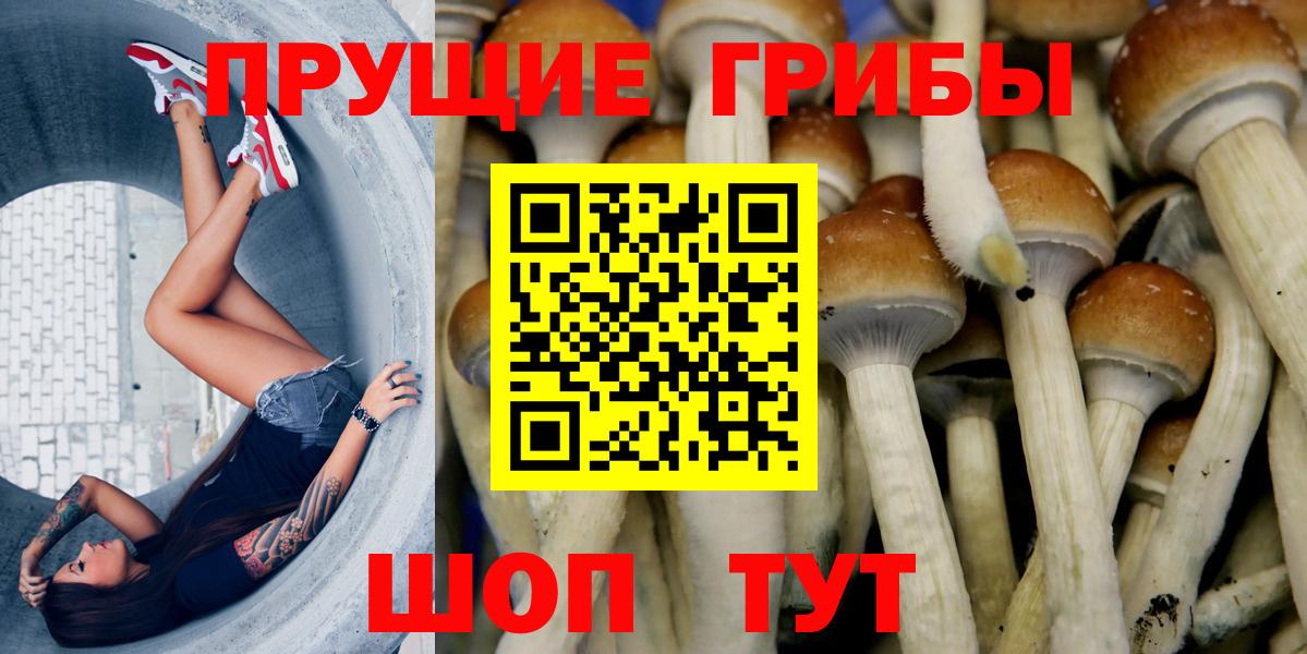 Галлюциногенные грибы Psilocybine cubensis Набережные Челны